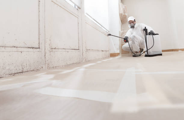24/7 Emergency Mold Removal experts in Carrsville, VA