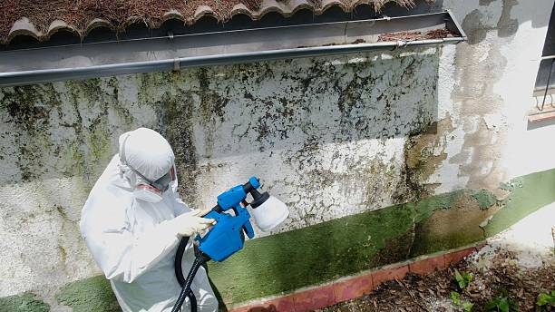 Top rated local Mold Removal specialists in Carrsville, VA
